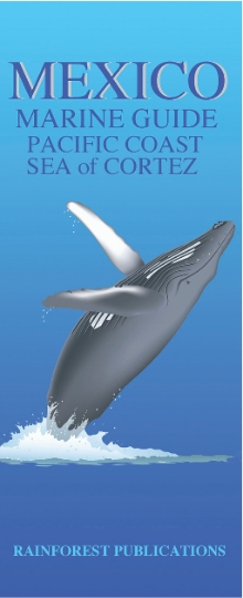 Guía Marina del Pacífico Mexicano