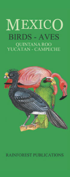Aves Península de Yucatán