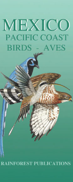 Aves Marinas del Golfo de México